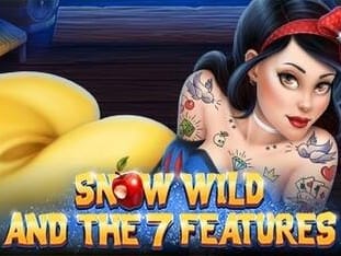 Snow Wild And The 7 Features game cover